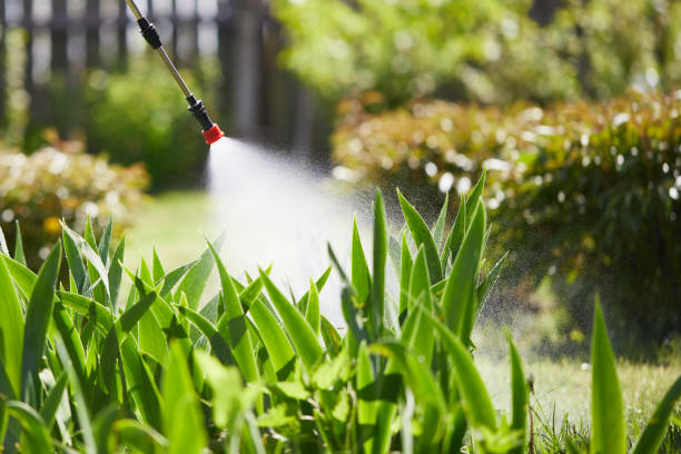 24/7 Emergency Bed Bug Control experts in Westville, IL