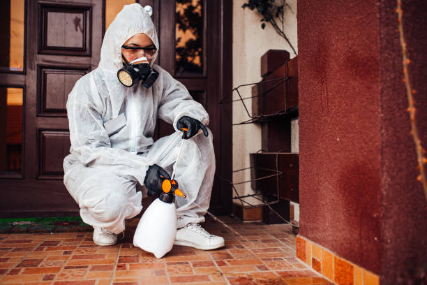 Reliable Bed Bug Control contractor in Westville, IL by Nex Pest Control